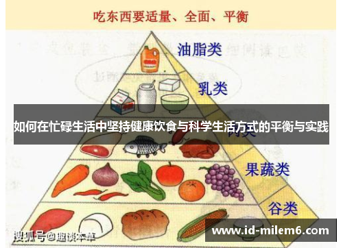 如何在忙碌生活中坚持健康饮食与科学生活方式的平衡与实践