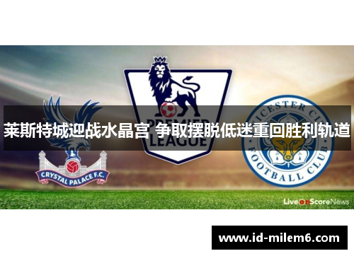 莱斯特城迎战水晶宫 争取摆脱低迷重回胜利轨道
