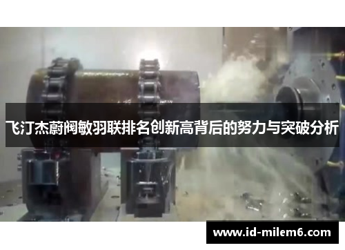 飞汀杰蔚阀敏羽联排名创新高背后的努力与突破分析