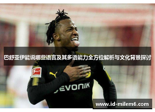巴舒亚伊能说哪些语言及其多语能力全方位解析与文化背景探讨
