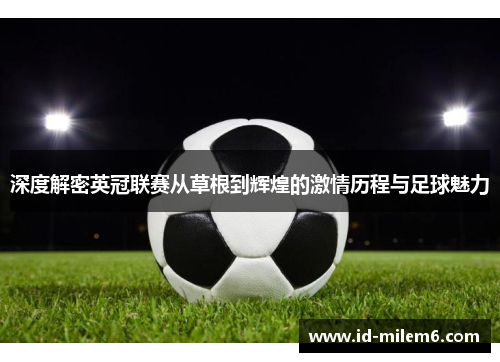 深度解密英冠联赛从草根到辉煌的激情历程与足球魅力