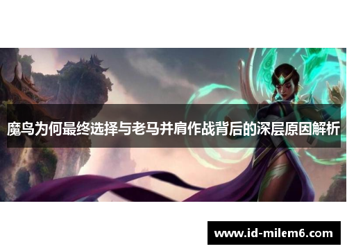 魔鸟为何最终选择与老马并肩作战背后的深层原因解析