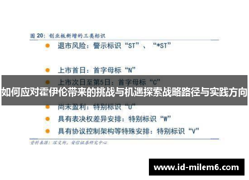 如何应对霍伊伦带来的挑战与机遇探索战略路径与实践方向